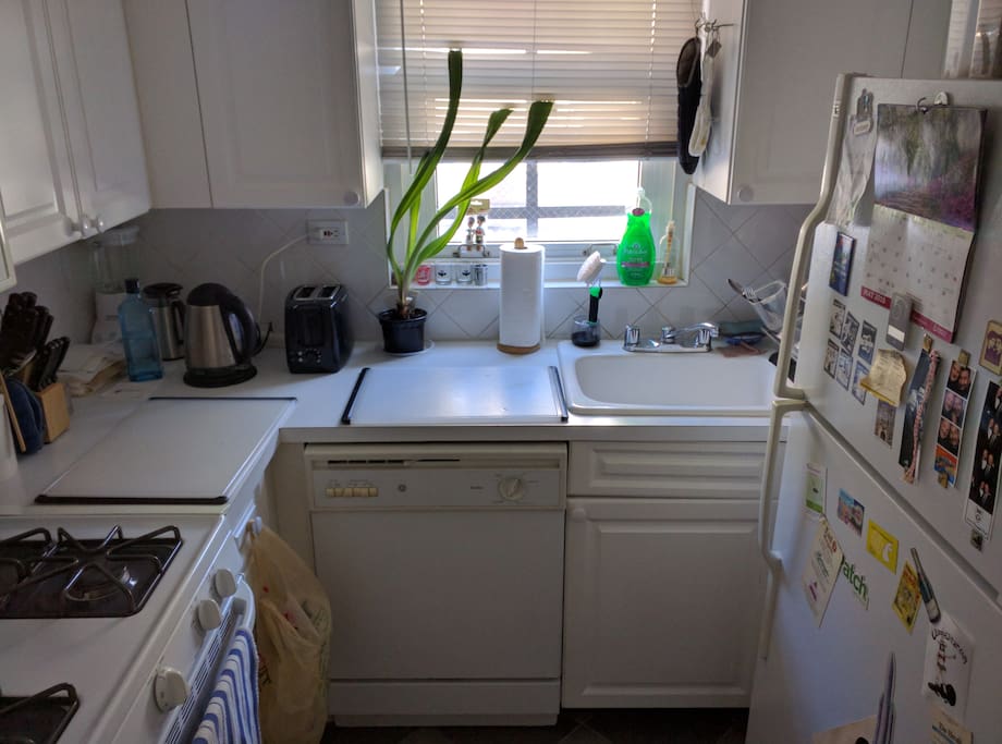The galley kitchen has full size fridge and stove and a microwave oven. And a plant that will not die. No, seriously.