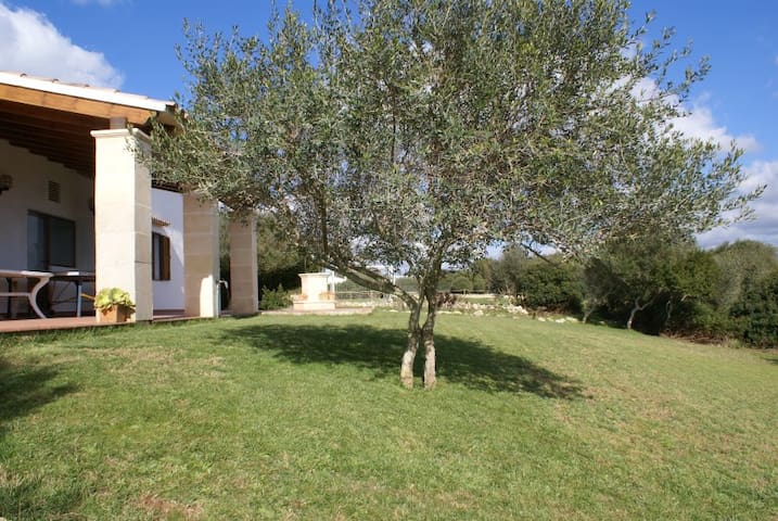 Casa de Campo. Villa Valentina gallery image 5