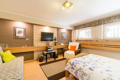 Basement flat with the garden access