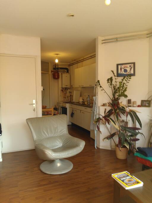 Living room/kitchen