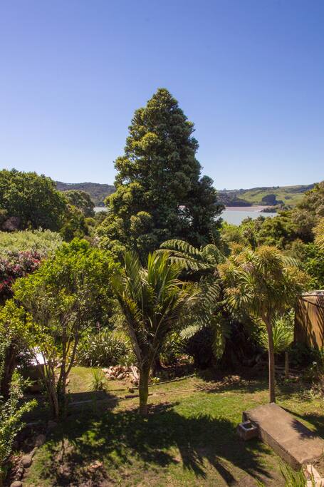 The Garden