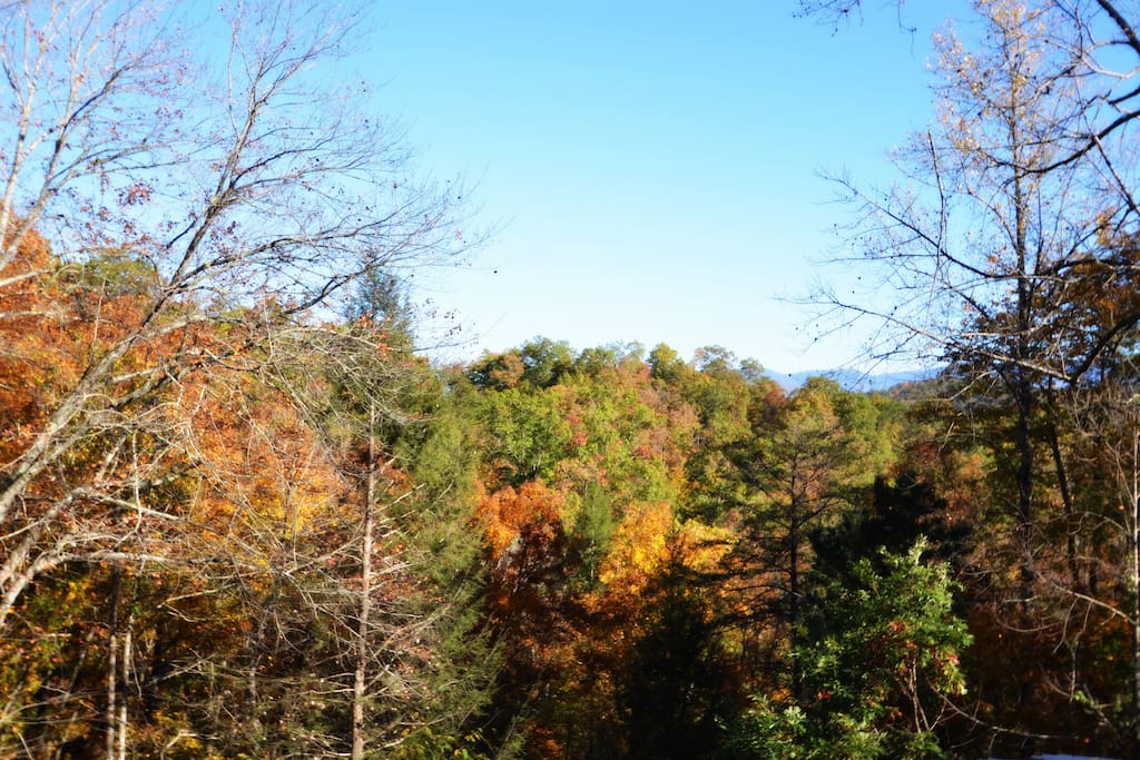 Nestled under the evergreens and some mountain views
