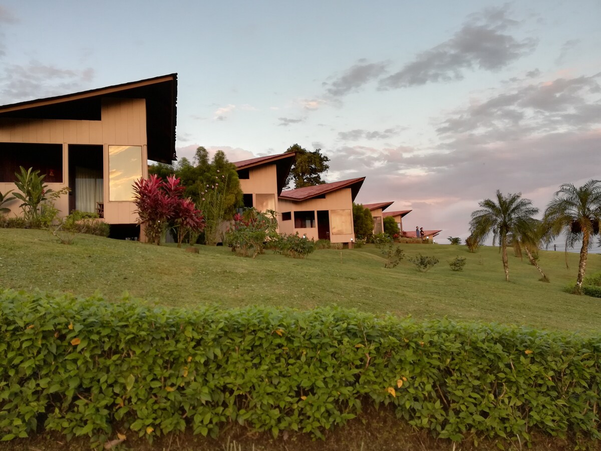 A row of modern accommodations is set on a manicured green hillside, surrounded by colorful tropical plants. The structures feature large windows and sloped roofs, with a gentle landscape leading towards the horizon. Palm trees add a touch of natural greenery to the setting.