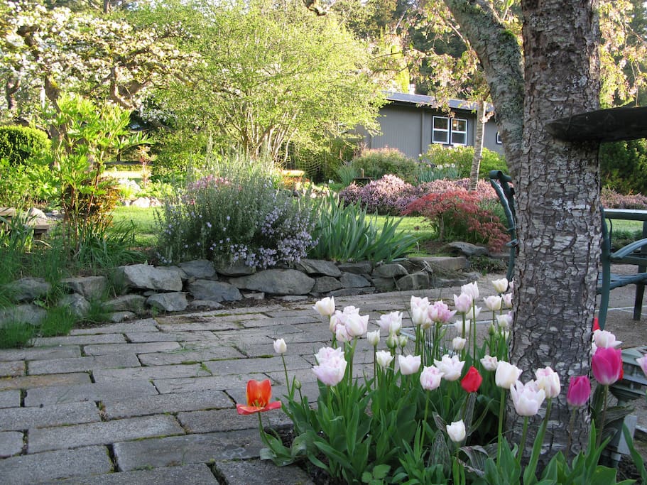 View of the back side of The Orchard Cottage into garden
