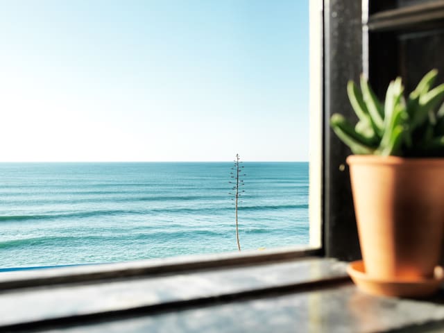 YELLOWFIN, BEACH FRONT CABIN-2