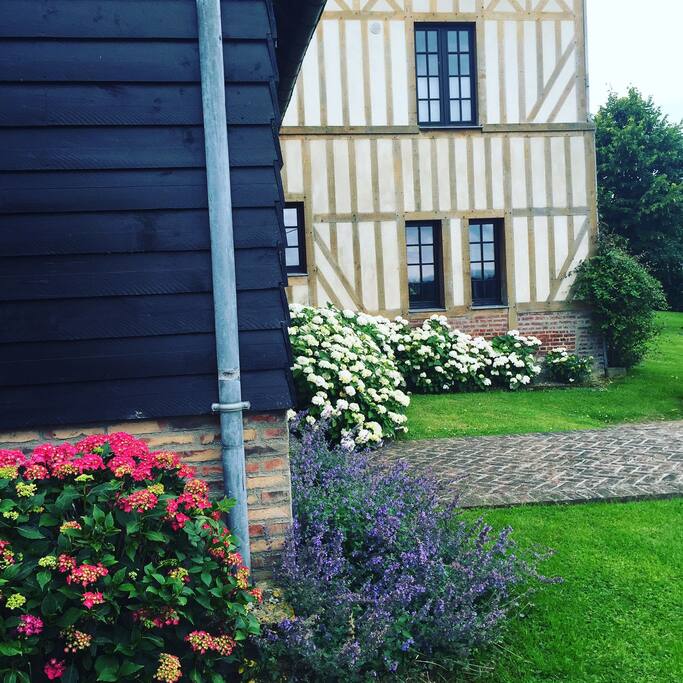 Jardin fleuri