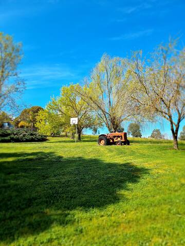 4 Bedroom Cosy Sunnyhurst Chalet gallery image 5