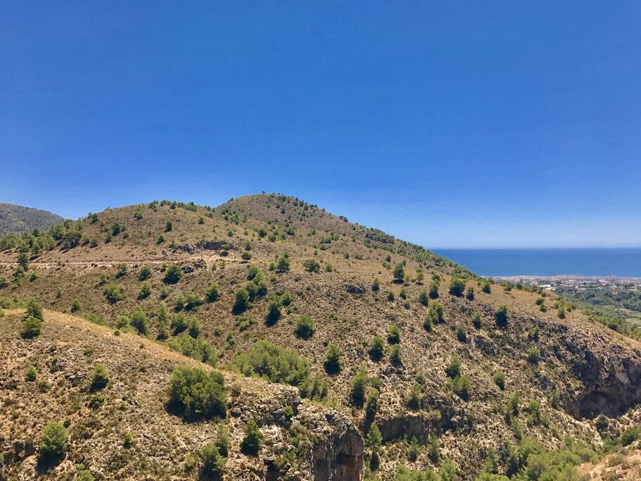 Vistas desde la terraza