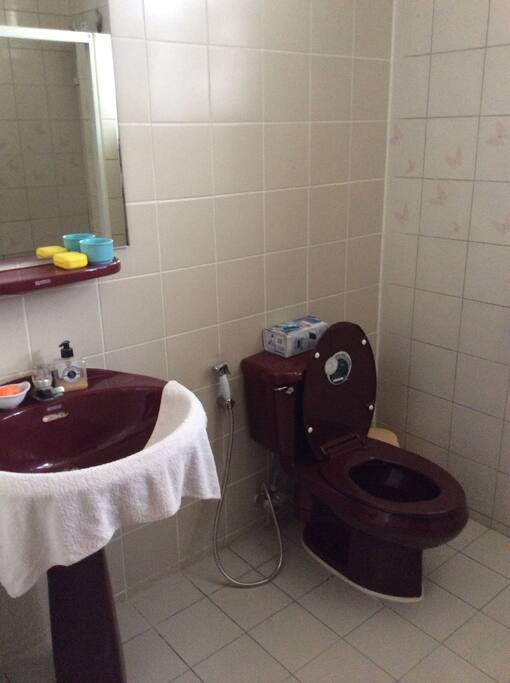 Upper-storey toilet with shower