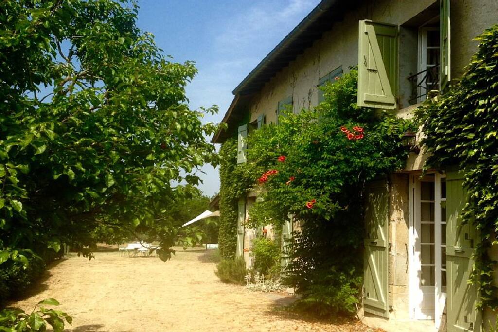 View of the house, towards the pool