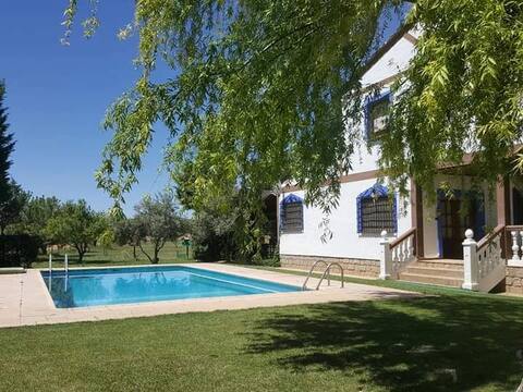 An Oasis in the heart of Mancha