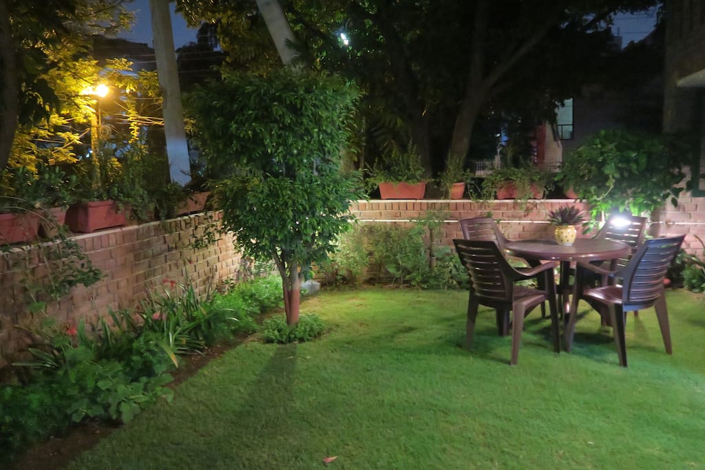 Evening in the lawn