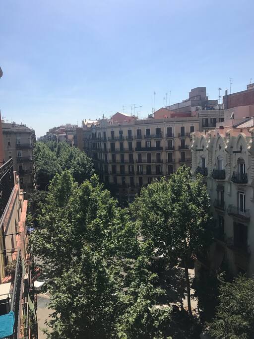 View to Valencia street... is really silencious the apartament!