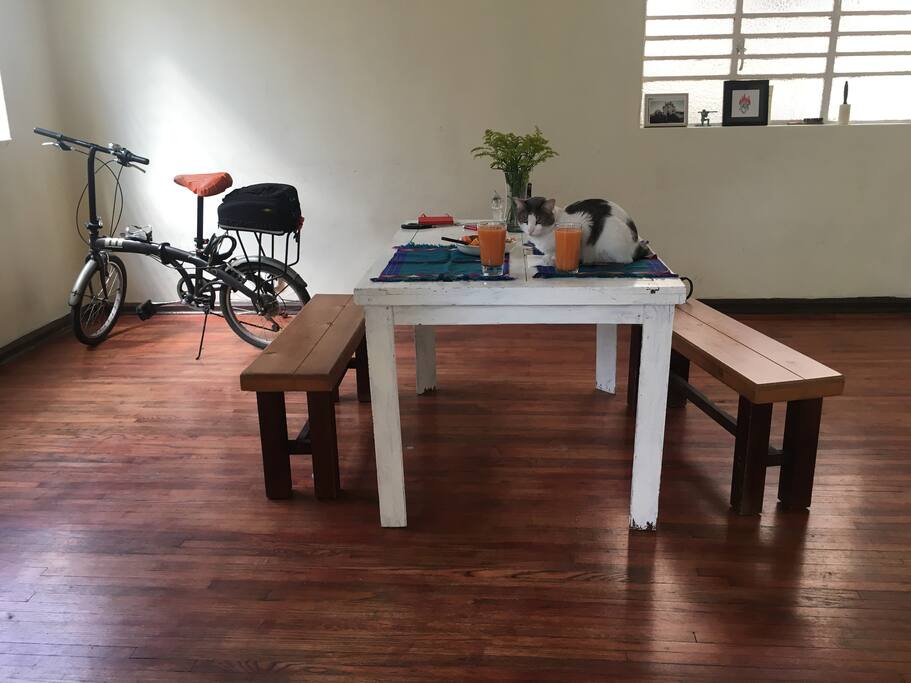 Comedor con dos bancas. Luz de un cubo interior del edificio. No incluye el gato.