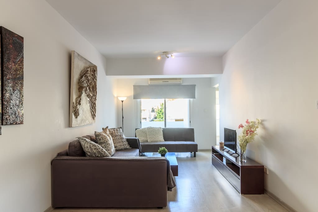 Double and Single sofa beds in the Living room area