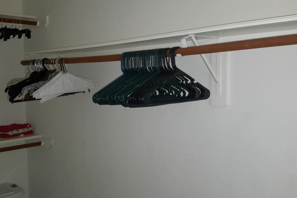 Spacious walk-in closet with plenty of hangers