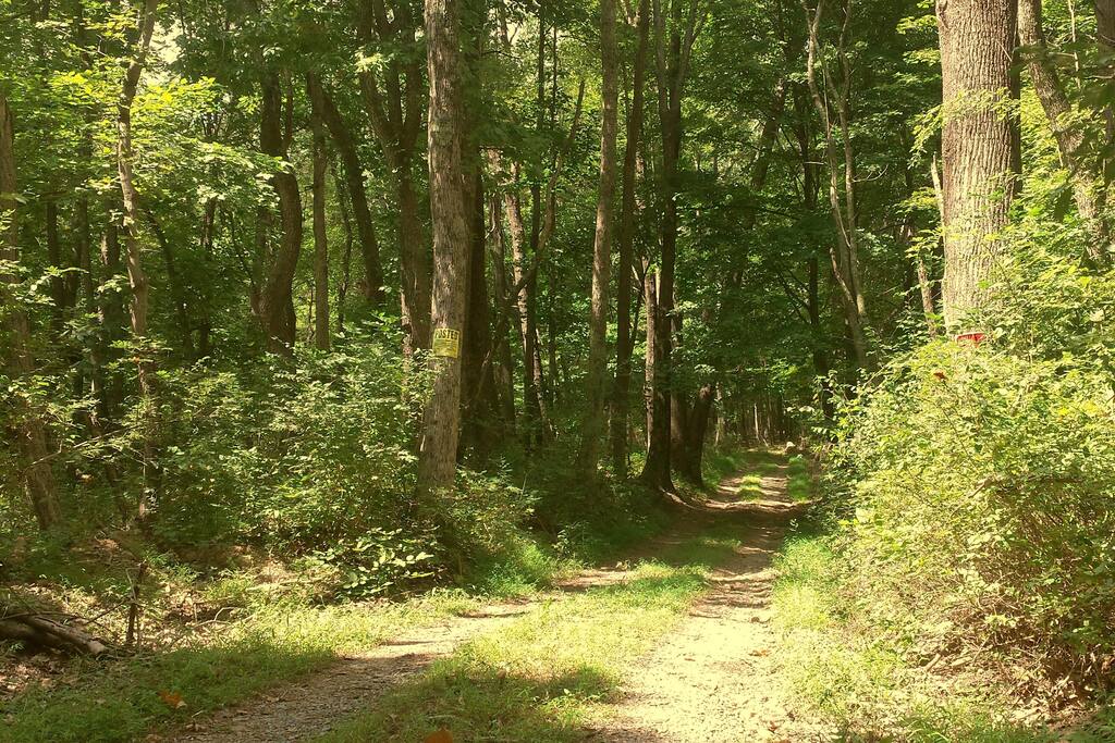 Our road. Dirt & native stone.