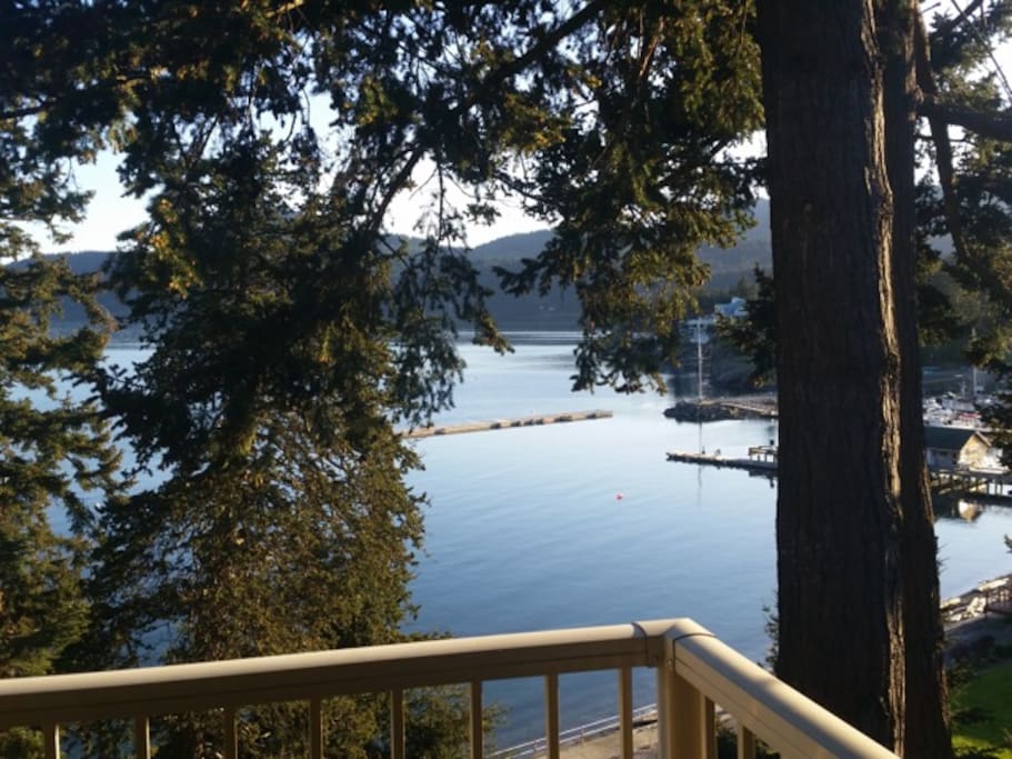 The view to Rosario Marina -- a great spot to see the boats come in