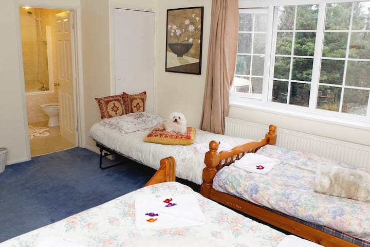 Lovely Large Room Sleeps 4 Persons - Horsham