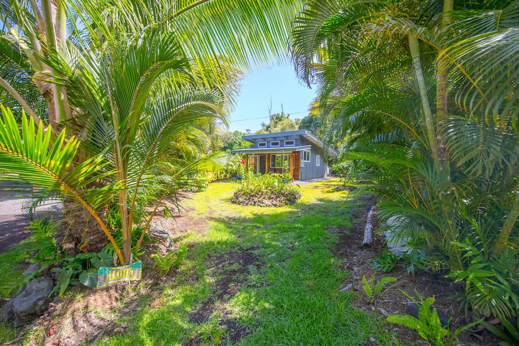Forest Lot Cottage Cottages for Rent in Pāhoa, Hawaii, United States