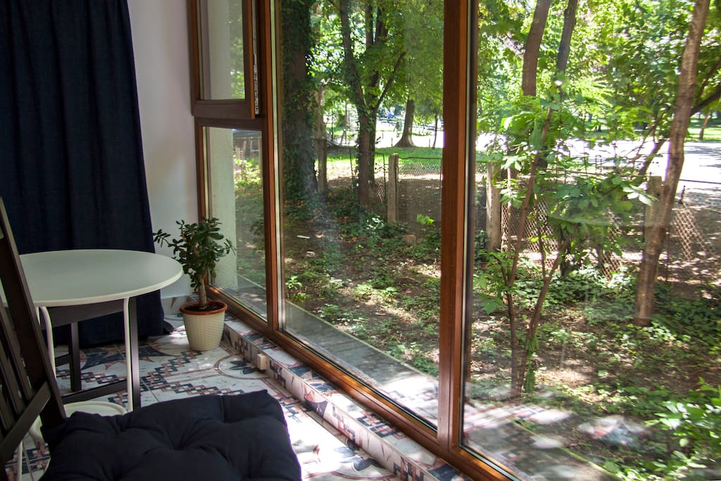 The terrace opens right up to the park