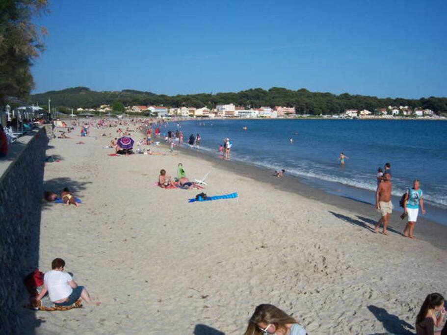 Mar vivo