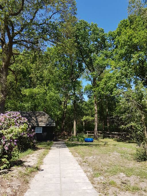 verharde looppad naar gastenverblijf en bijbehorende tuin aangrenzend aan het bos