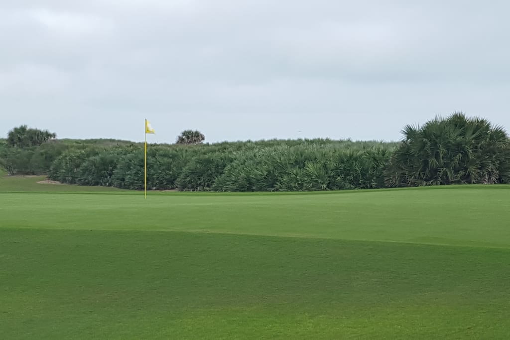Newly Renovated Ocean Course
