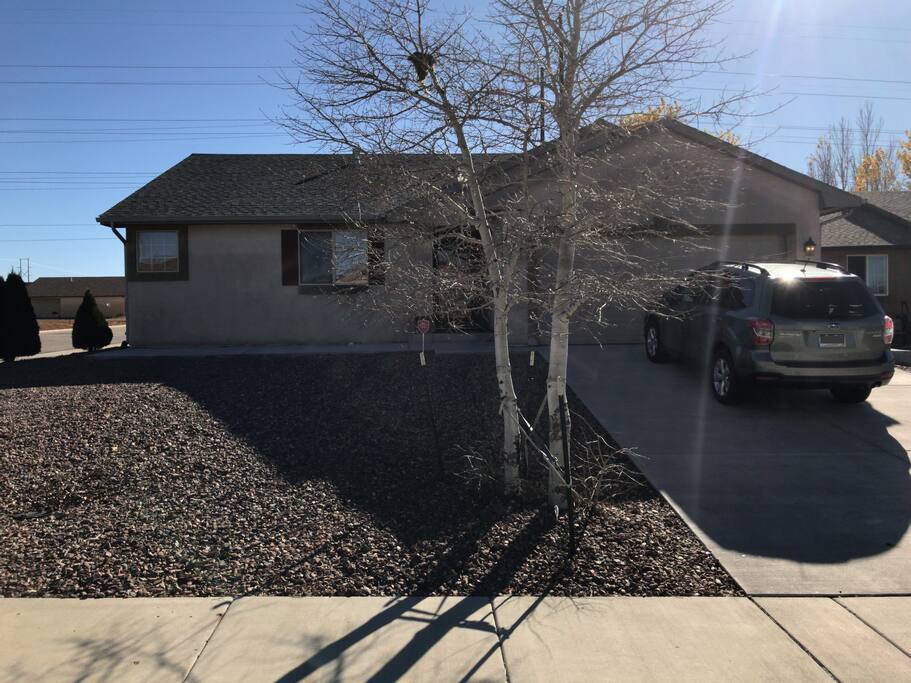 Front Yard