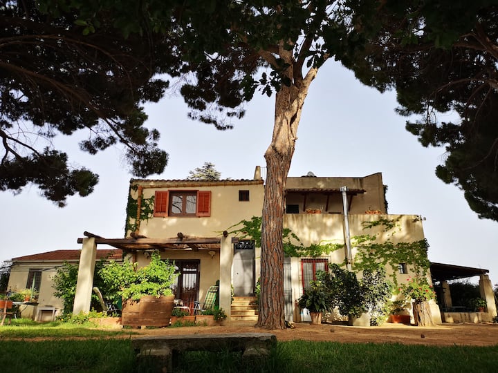 Casale Di Campagna Vicino Il Mare Di Selinunte - Sicilia