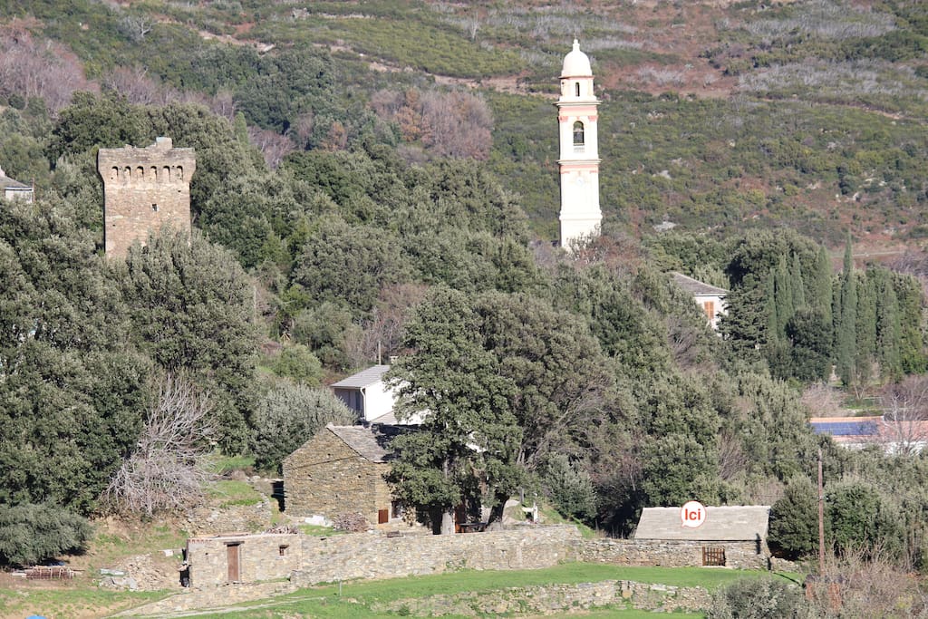 Propriété. Vue sur la tour pisane et le clocher