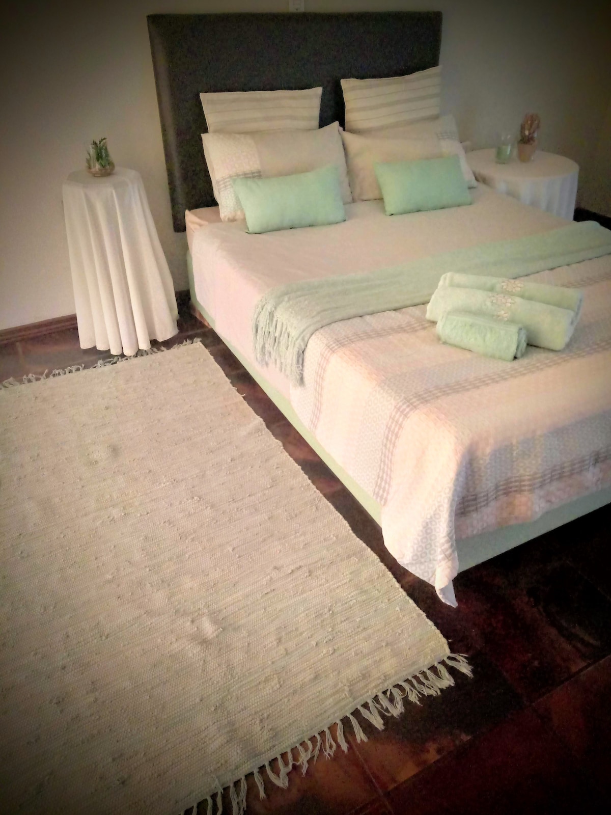 A spacious bed is dressed in light-colored linens, accompanied by decorative pillows in soft pastels. A textured blanket is neatly arranged at the foot of the bed. Flanking the bed are two round side tables topped with small plants, and a natural-fiber rug is placed beside the bed.