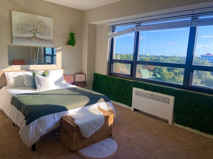 Lake Eola Vacation Rentals & Homes Orlando, FL Airbnb