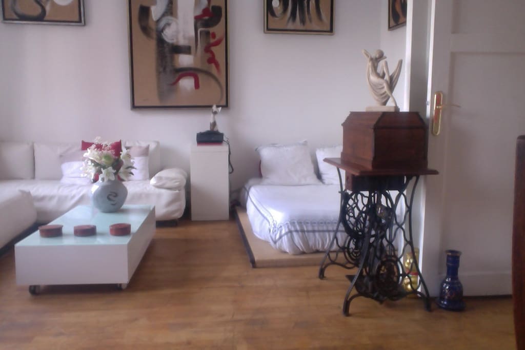 Le salon composé d une pièce à vivre et d un lit
