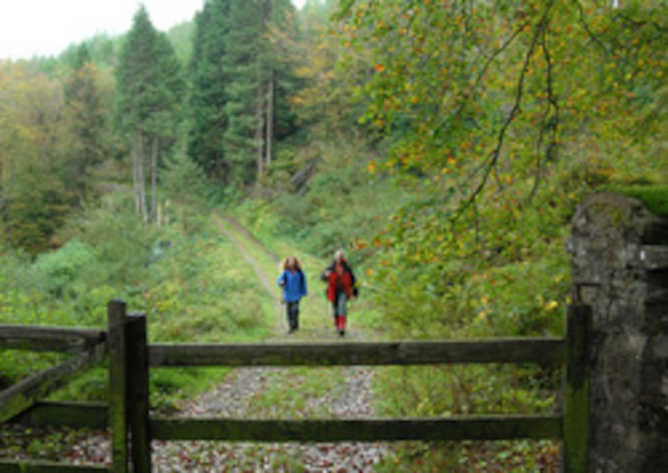 In the heart of the countryside in Ireland