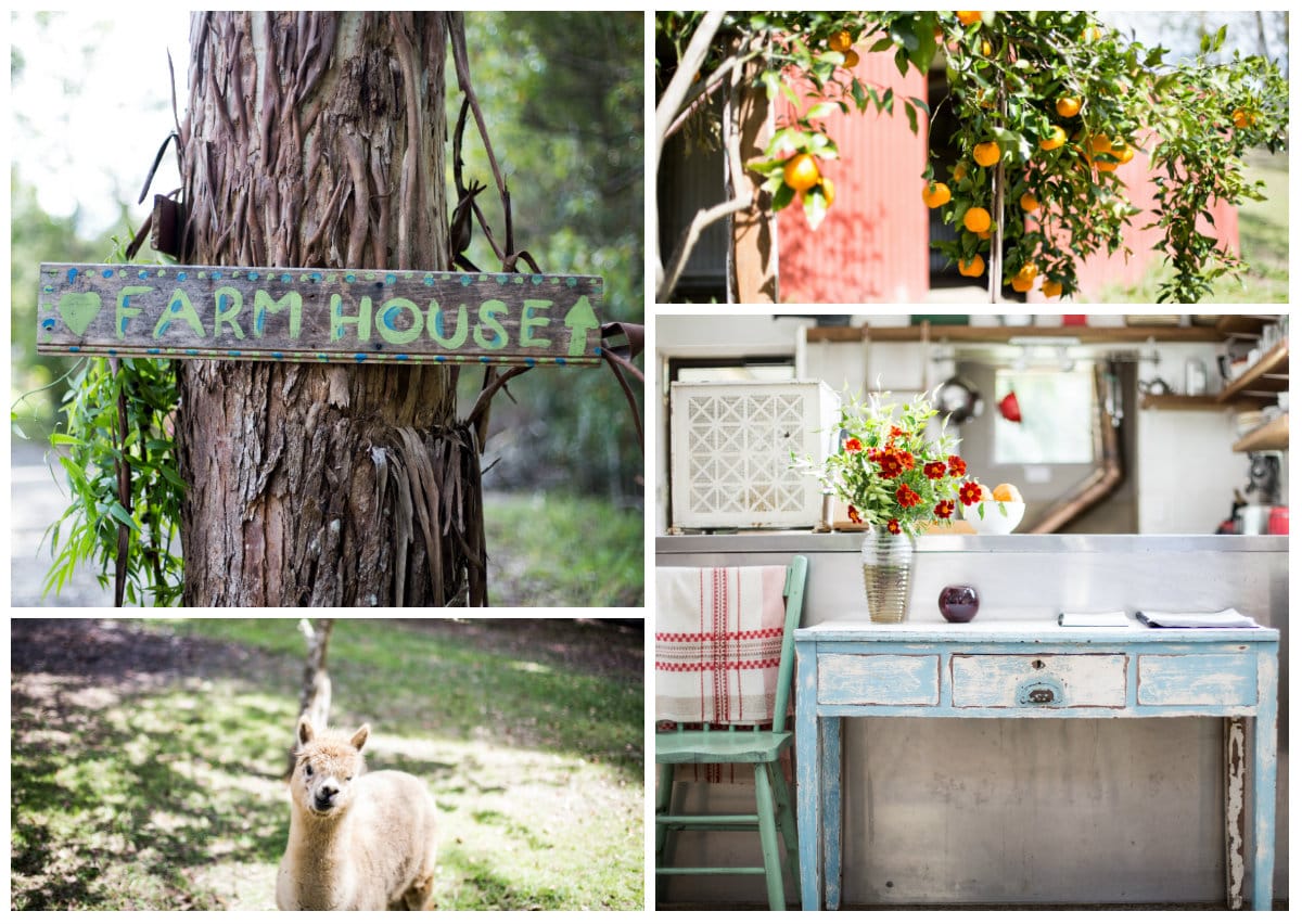 A wooden sign labeled 'FARM HOUSE' is attached to a tree, indicating the property. In another section, orange trees are visible, bearing ripe fruit. A small animal stands in the foreground, while a rustic desk with a vase of flowers is shown, highlighting a blend of natural and vintage aesthetics.
