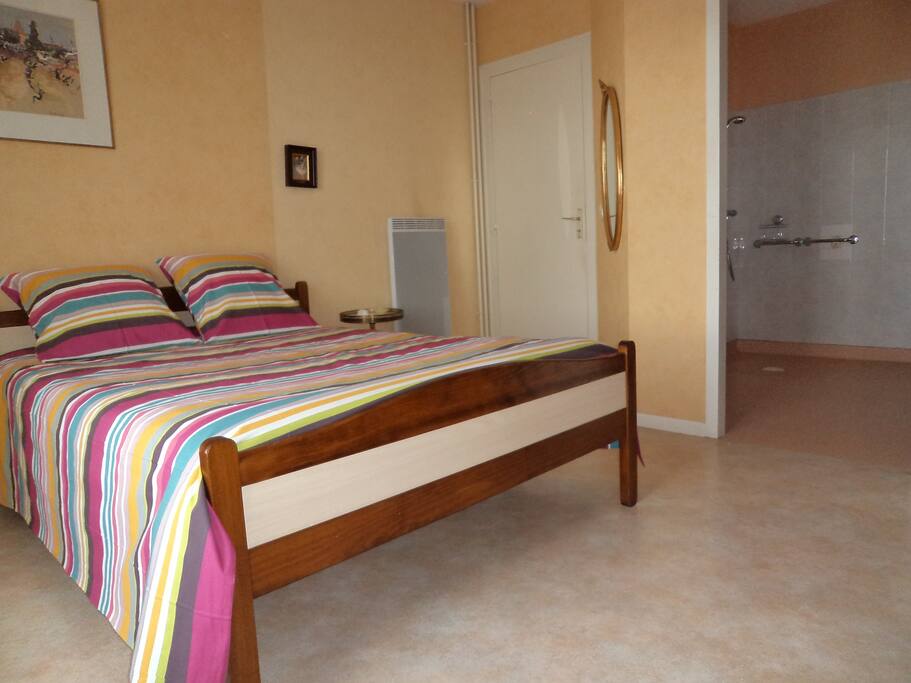 chambre rez de jardin+ salle d'eau
