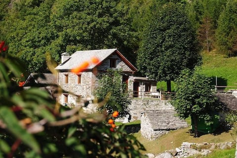 Bright cottage with great lake view