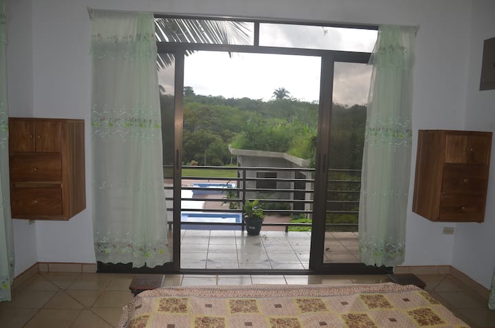 View from the modern tree house before we grew the living walls. 