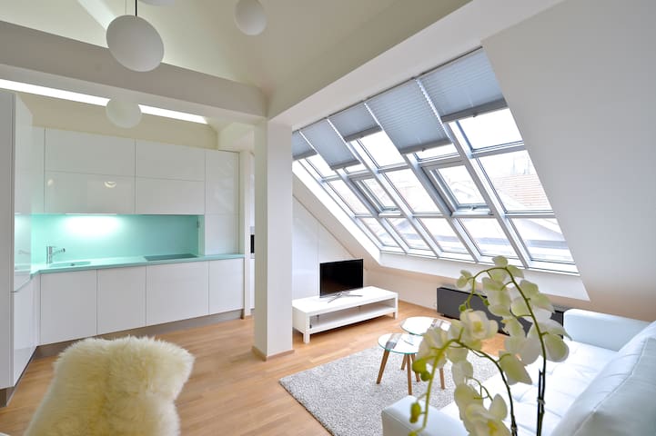 DESIGNER LOFT AT WENCESLAS SQUARE 2