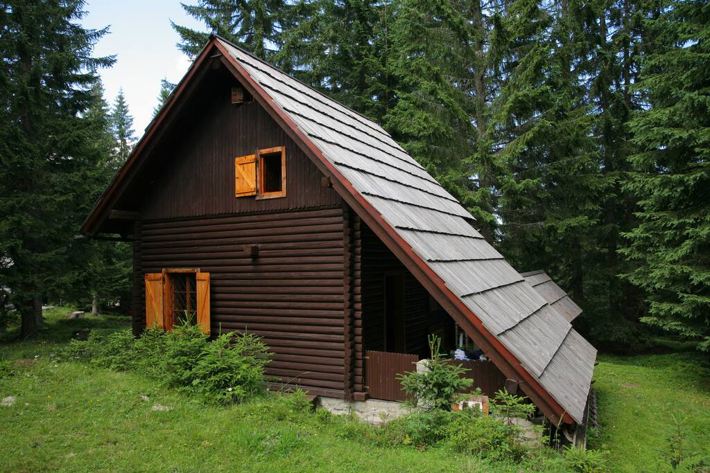 Remote Cabin in forest, above Bled - Cabins for Rent in ...