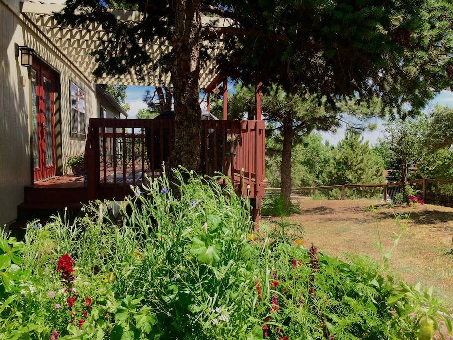 Flower gardens, the deck shaded by pines, and the large fenced yard (shown here) make it the perfect place to relax.