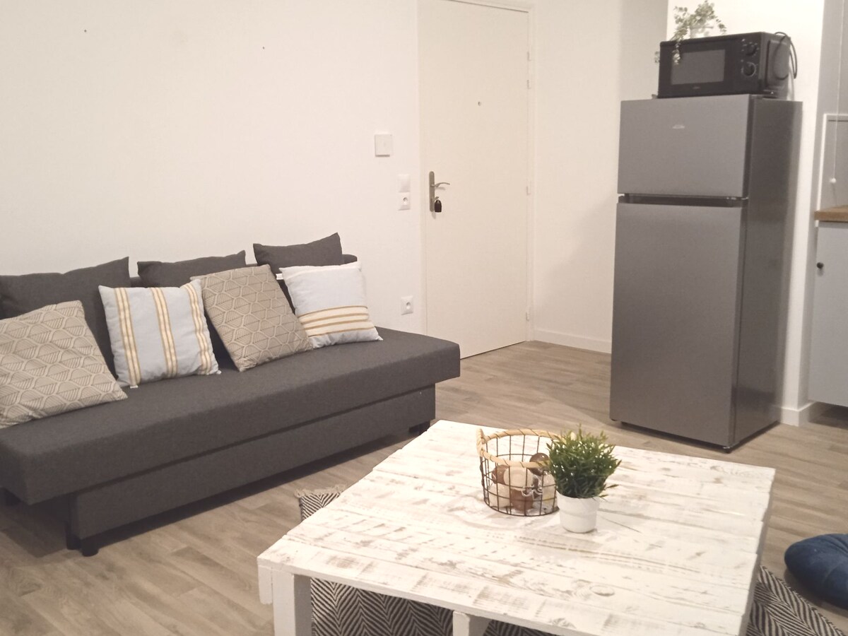 The living area features a comfortable gray sofa with decorative pillows, positioned near a wooden coffee table. A modern fridge stands prominently, while a microwave is located above it. The neutral walls and wooden flooring enhance the studio's cozy ambiance.
