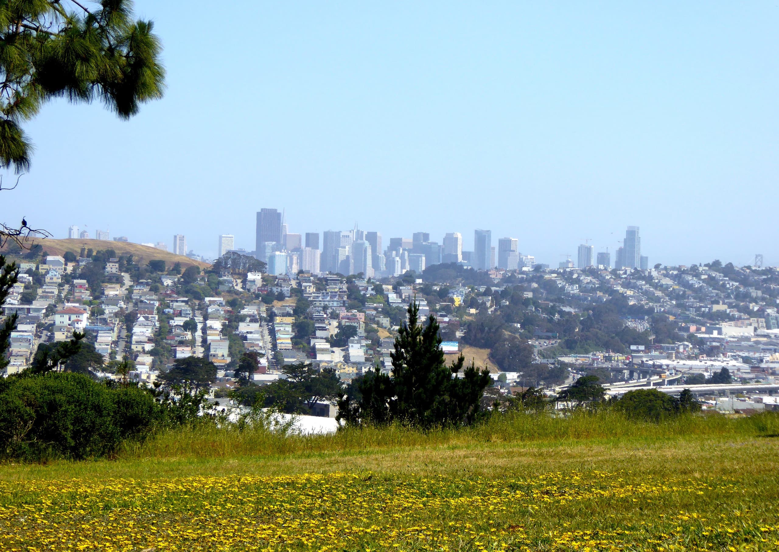 Home in San Francisco · ★4.88 · 4 bedrooms · 6 beds · 3 baths - Image 19