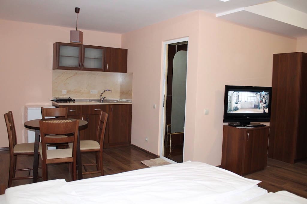 Studio with kitchenette and dining area