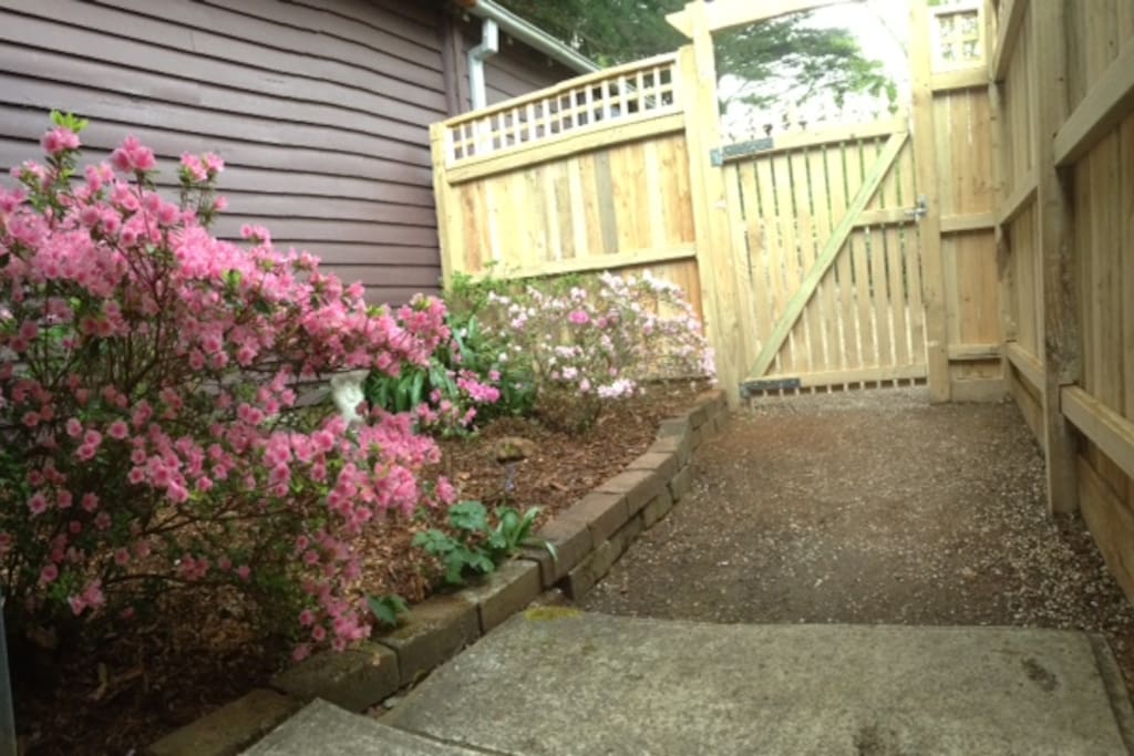 Private courtyard with your own entrance. Carpark area close to entry.