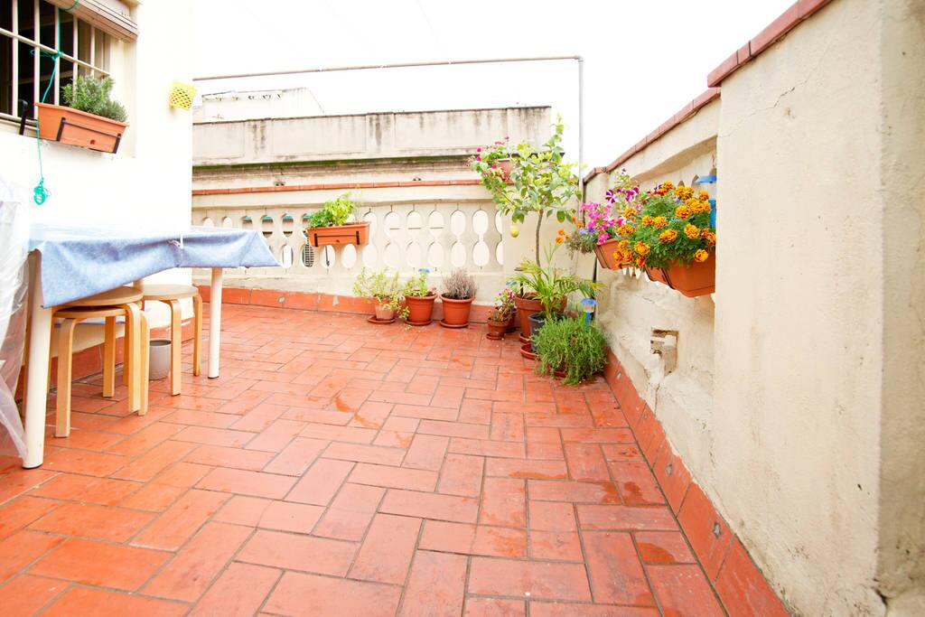 La terraza