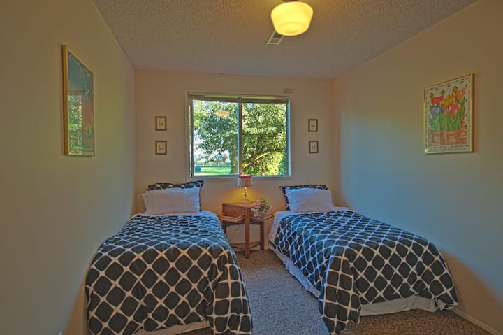 Downstairs Twin Beds