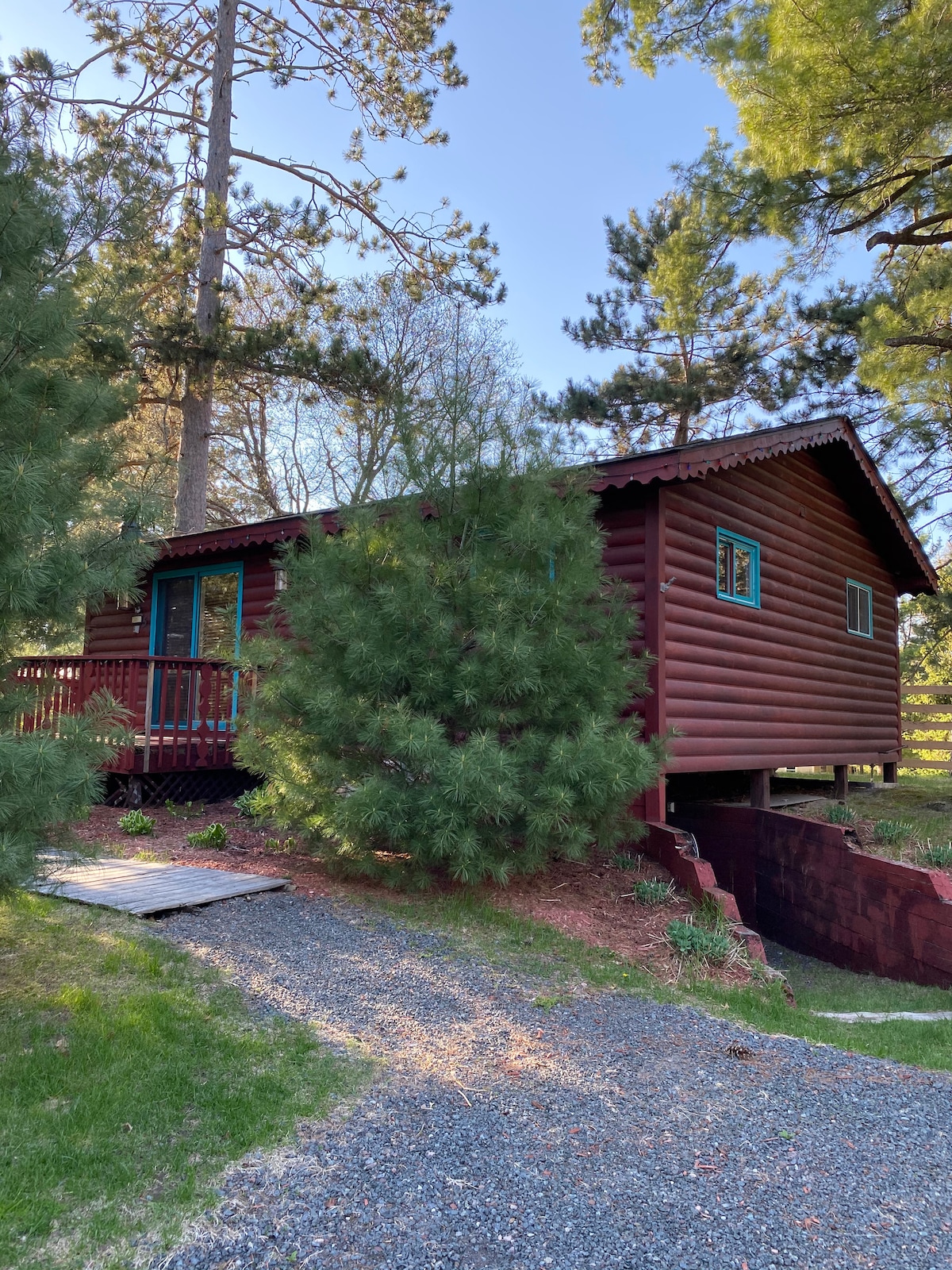 A charming cabin is set among tall pine trees, featuring wooden siding and vibrant blue windows. The entrance is framed by a gravel path, with a small deck accessible from the front. Sunlight filters through the surrounding foliage, enhancing the natural surroundings.
