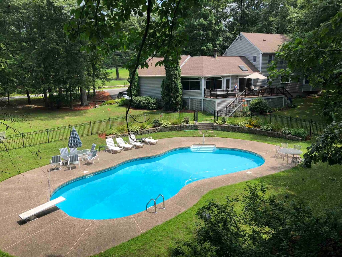 An outdoor swimming pool is surrounded by a paved deck with lounge chairs. A diving board extends over the sparkling water. Lush greenery and flower beds frame the area, while the house with a screened-in porch can be seen in the background.